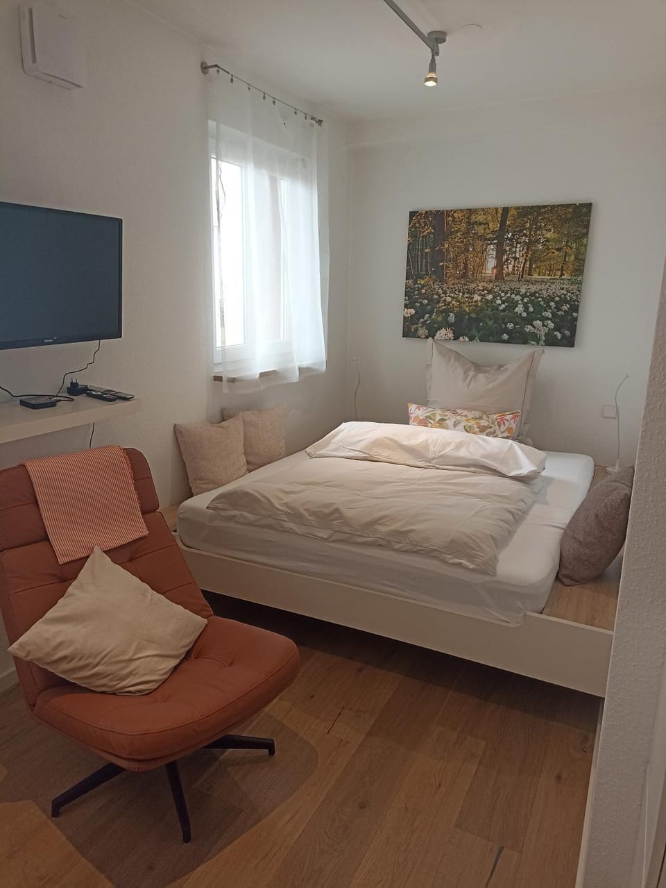 Bed, TV and multimedia