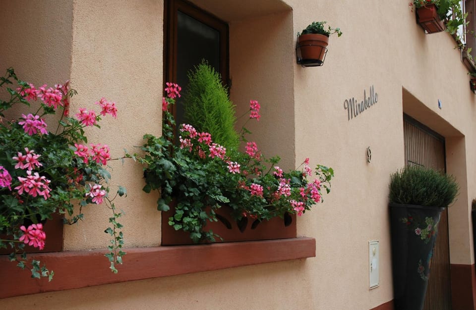 Mirabelle Bed & Breakfast Bed and Breakfast in Ribeauvillé