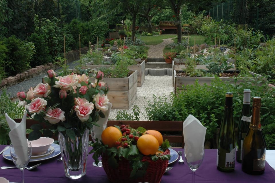 Spring, Garden, Garden view