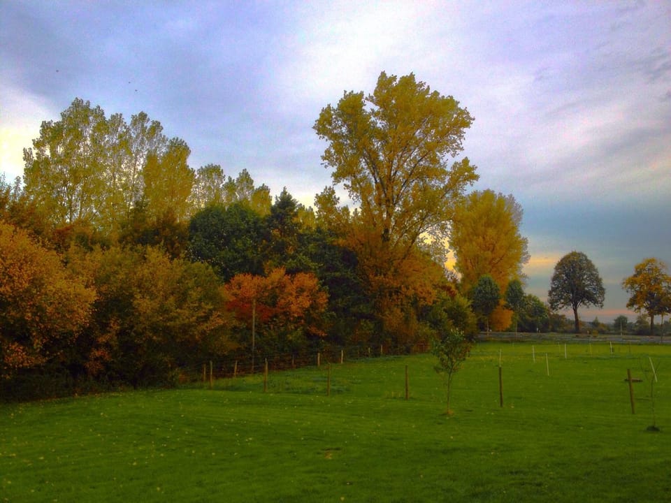 Natural landscape