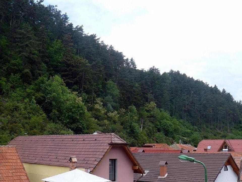 Natural landscape
