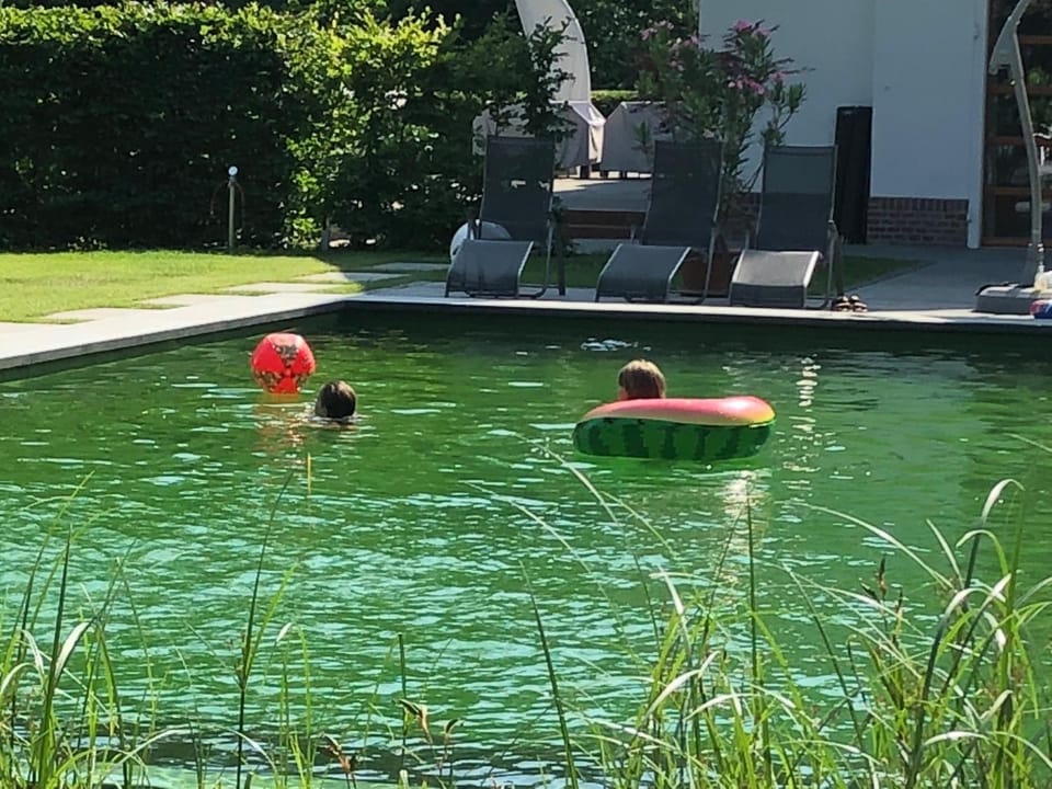 Day, Summer, Swimming pool, Swimming pool