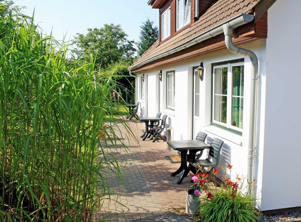 Property building, Spring, Garden, Garden view