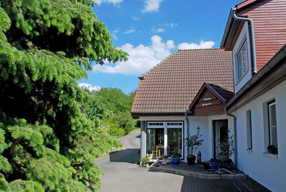 Property building, Spring, Garden, Garden view