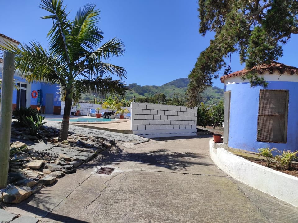 Garden, Garden, Swimming pool
