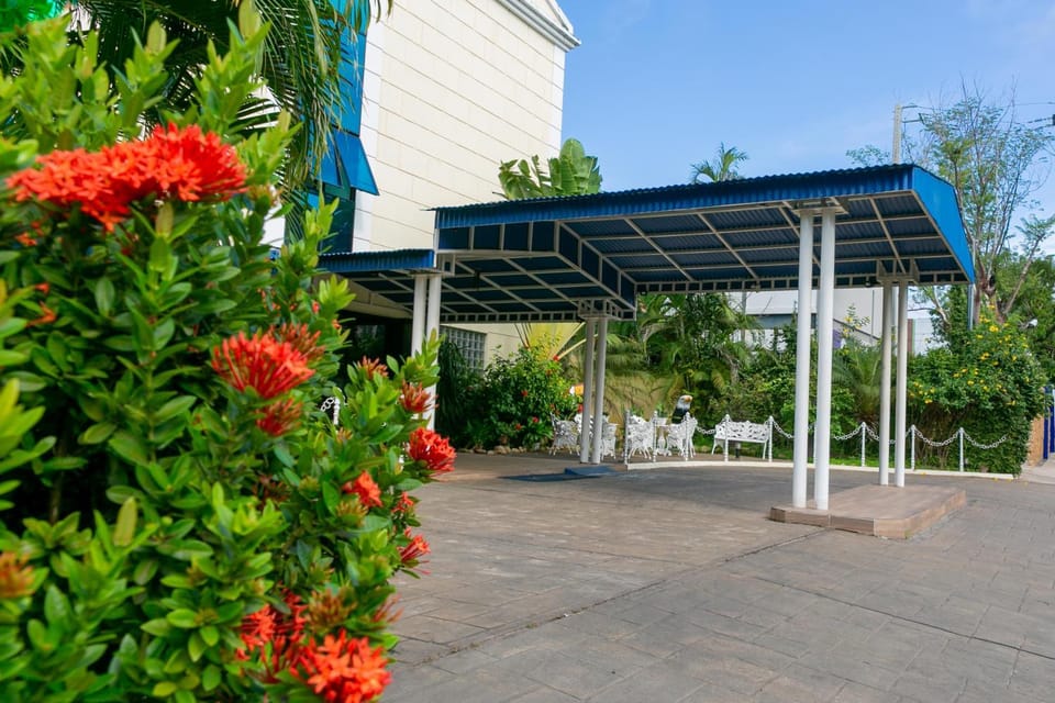 Facade/entrance, Garden