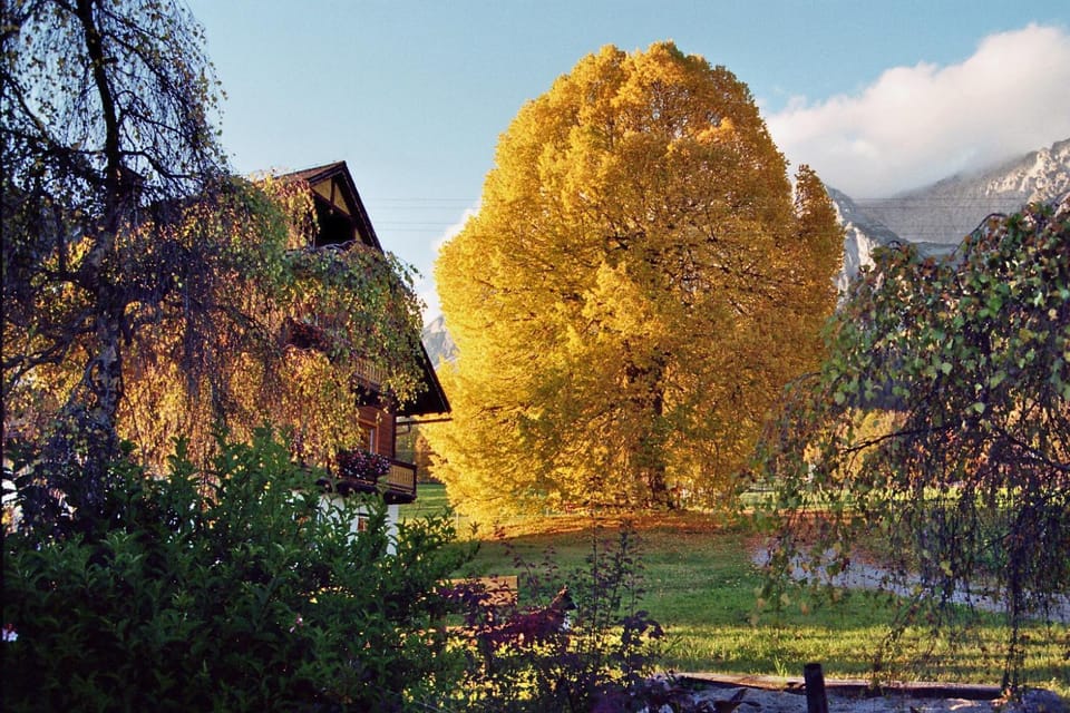 Autumn, Area and facilities