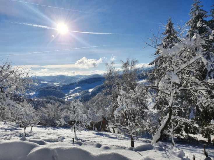 Le nid du Kaloui Bed and Breakfast in Grand Est