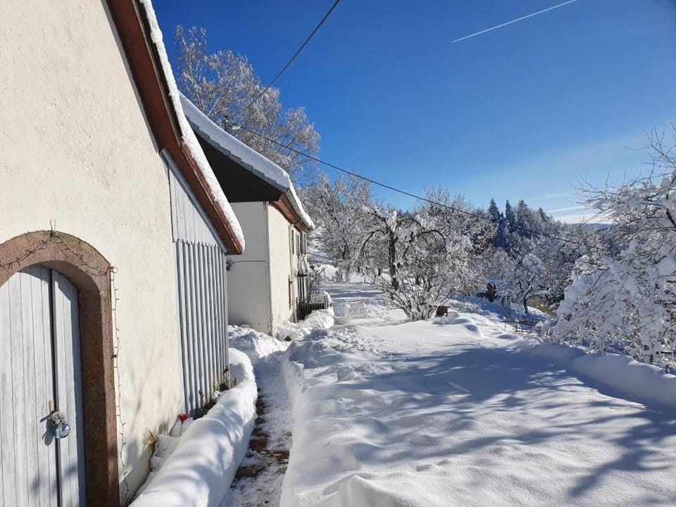 Le nid du Kaloui Bed and Breakfast in Grand Est