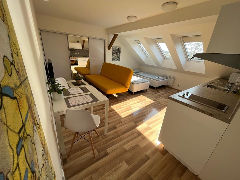 Apartmány Skryjova Apartment in Brno
