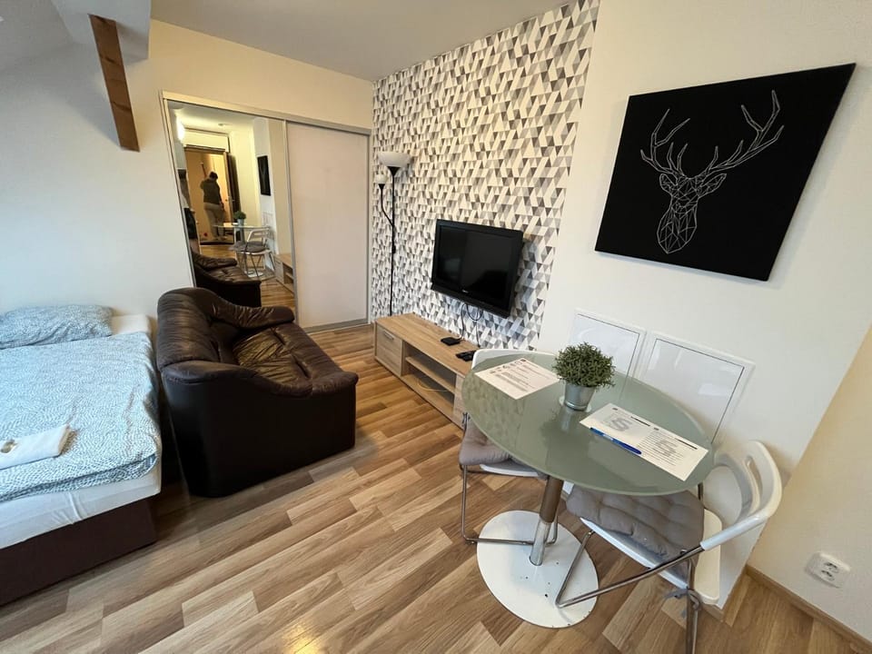 Apartmány Skryjova Apartment in Brno