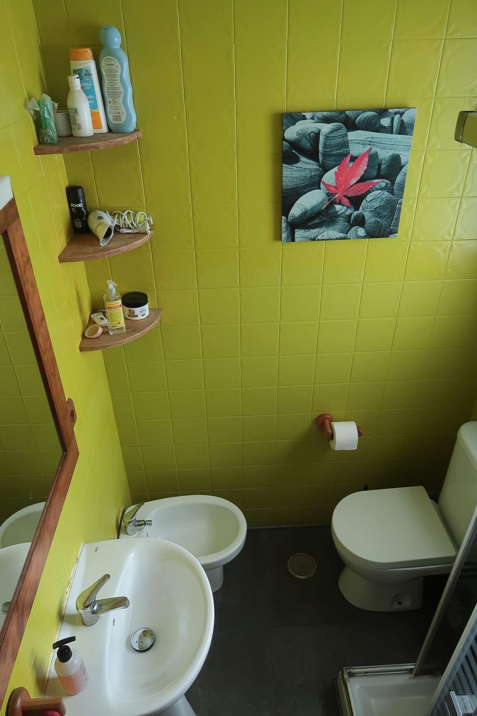 Toilet, Bathroom, bidet