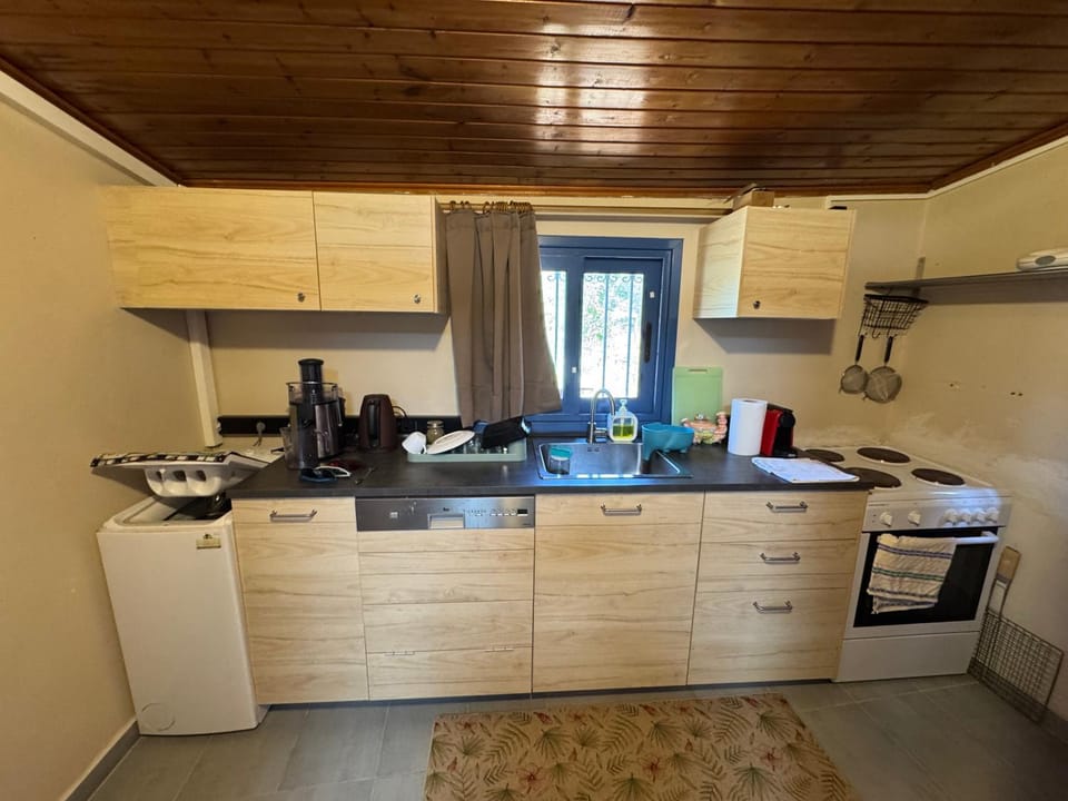 Kitchen or kitchenette, dishwasher, oven, stove
