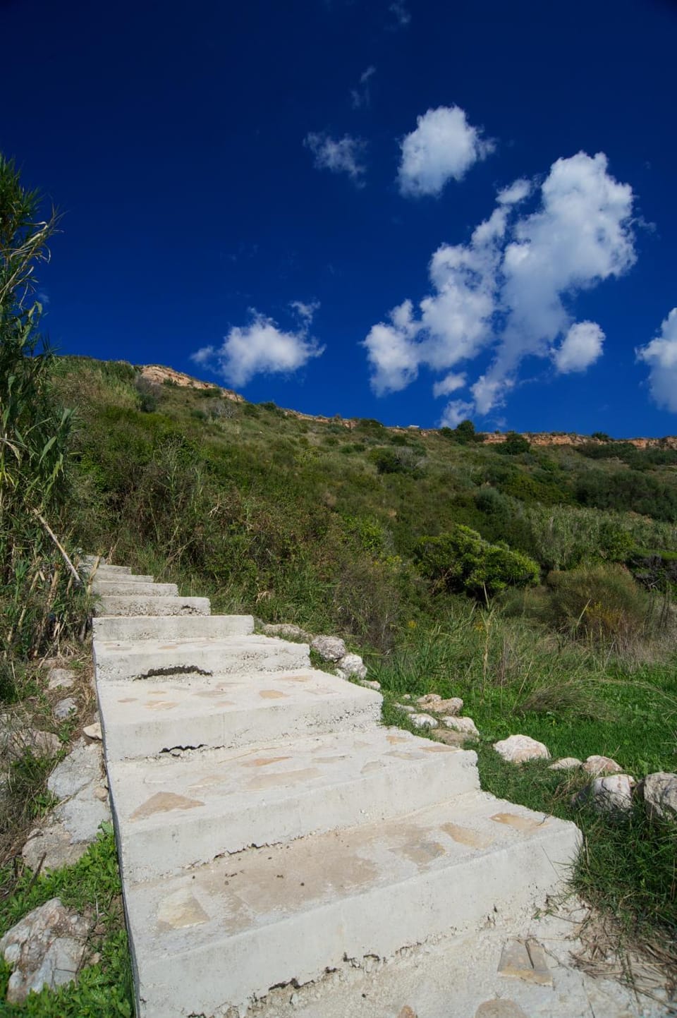 Natural landscape