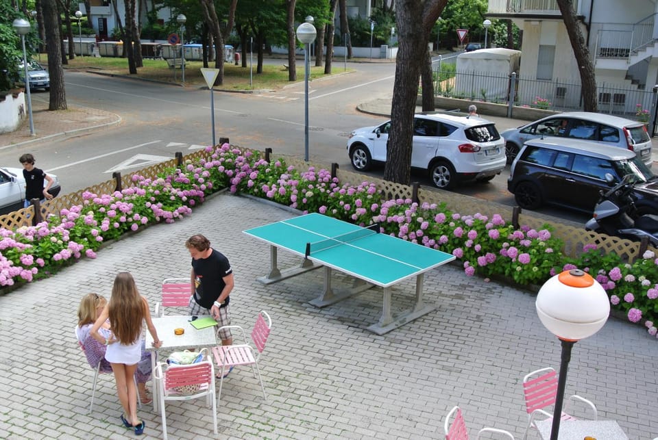 Day, People, Garden, Table tennis, group of guests, Parking