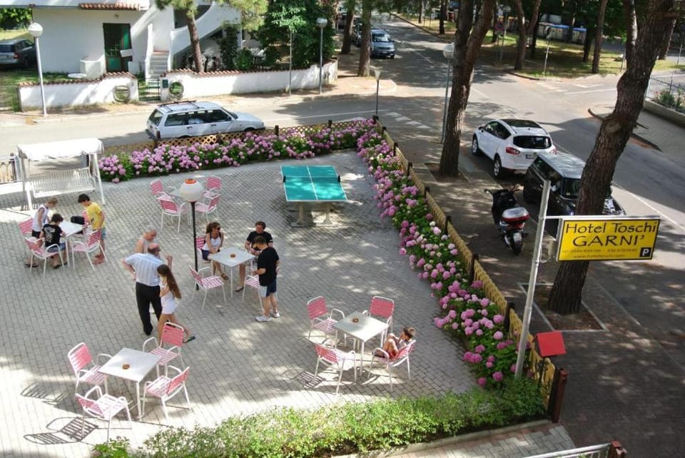 Spring, Day, People, Garden, Garden, Garden view, Street view, group of guests, Parking