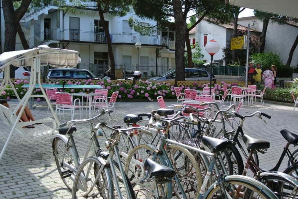 Day, Garden, Cycling, Street view