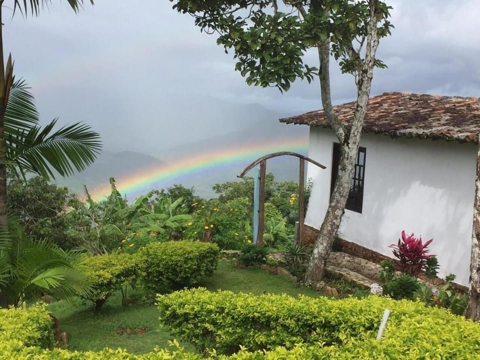 Day, Natural landscape, Garden, Garden view