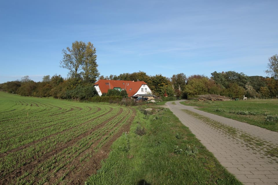 Landhaus Alt Reddevitz Bed and Breakfast in Mecklenburg-Vorpommern, Germany