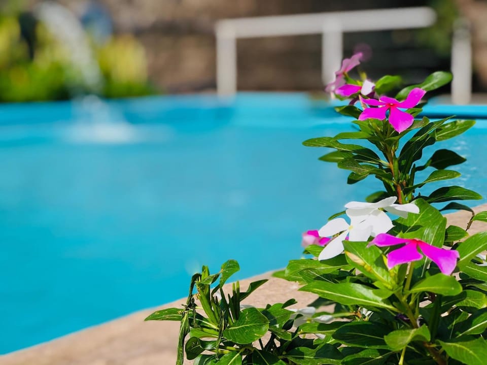 Casa Santa Barbara Deluxe Bed and Breakfast in Cape Verde