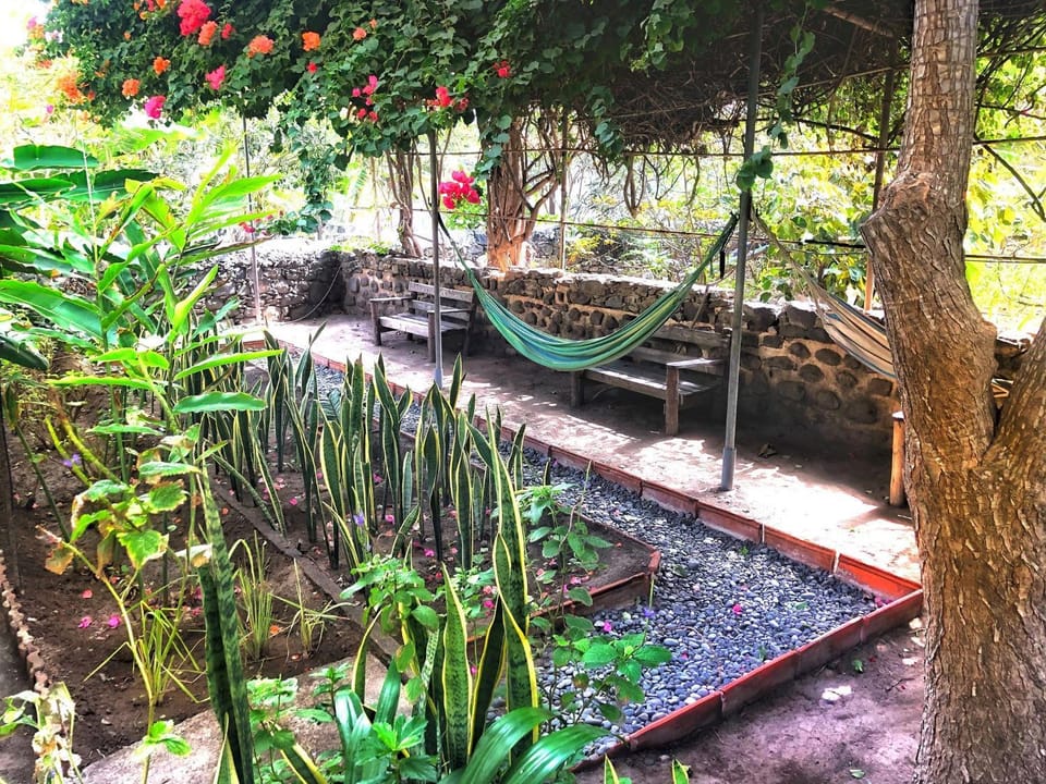 Casa Santa Barbara Deluxe Bed and Breakfast in Cape Verde