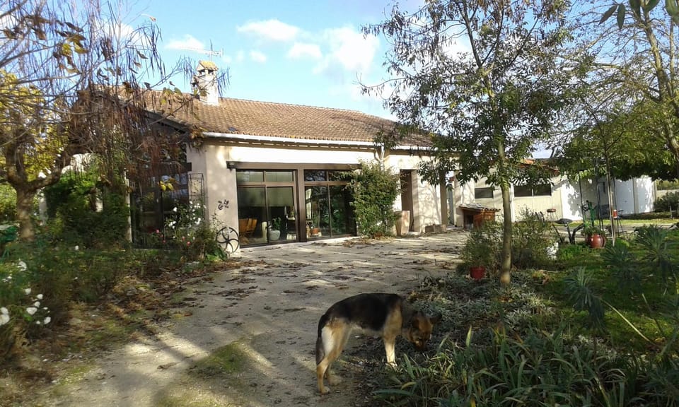 Property building, Patio, Facade/entrance, Garden
