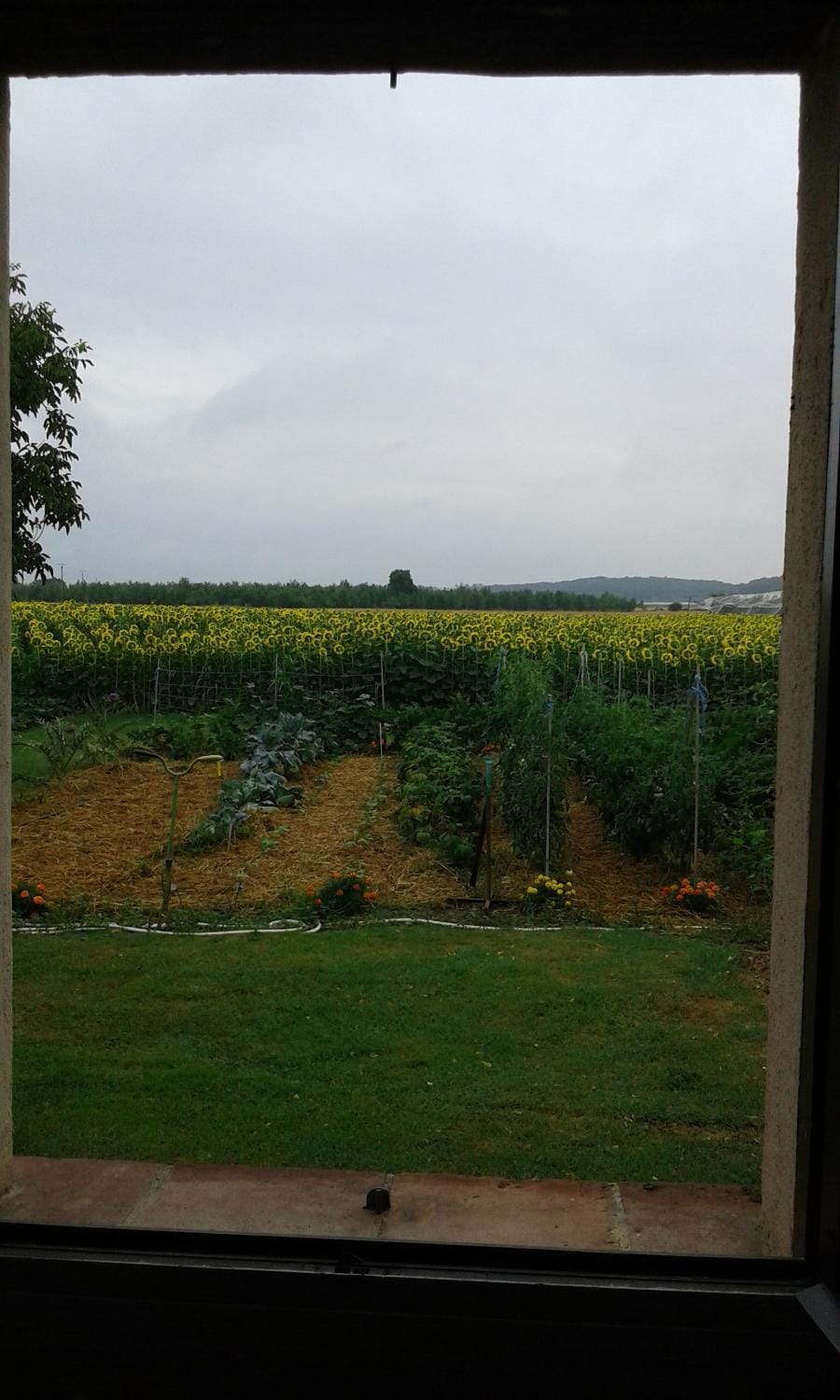 Garden, Garden view