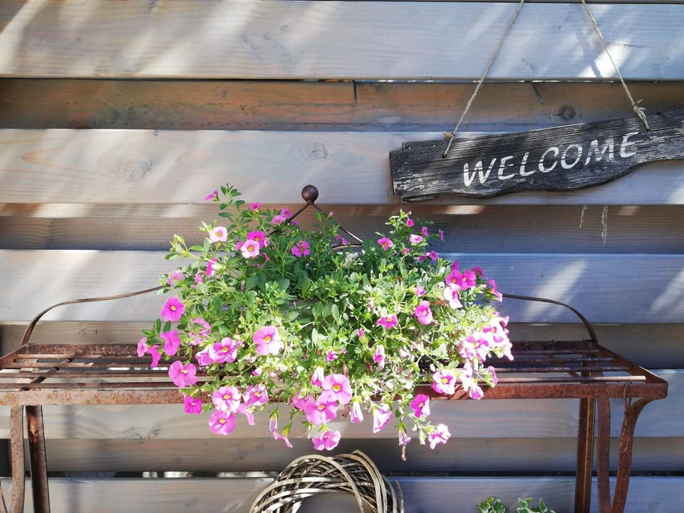 Patio, Spring, On site
