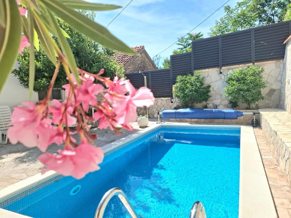 Day, Pool view, Swimming pool