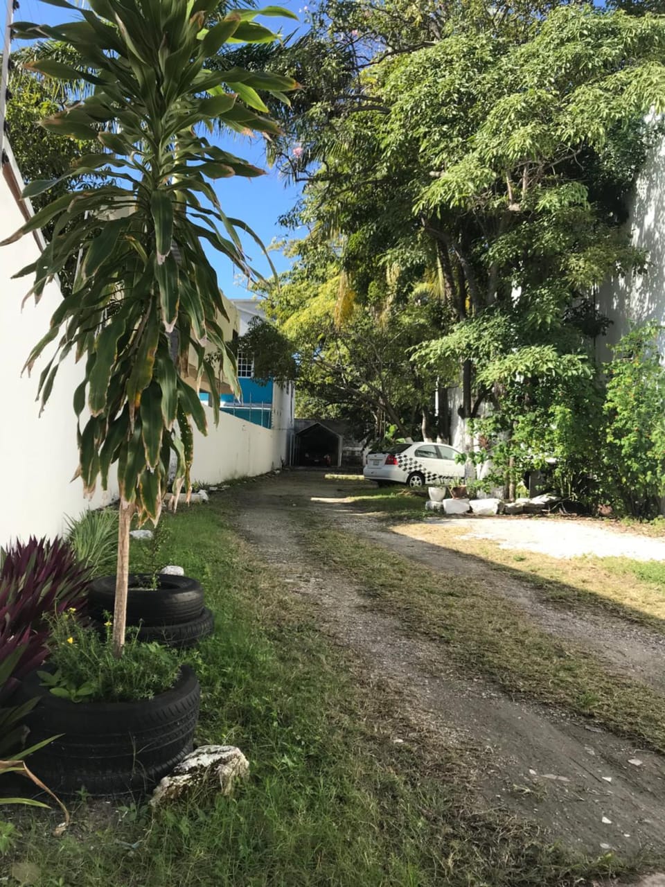 Garden, Inner courtyard view