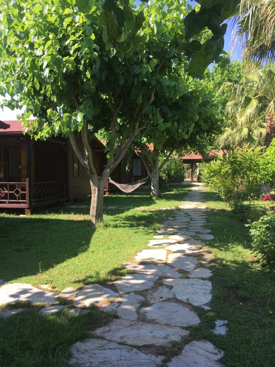 Garden view