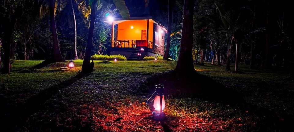 Spring, Night, Natural landscape, Garden, Garden view