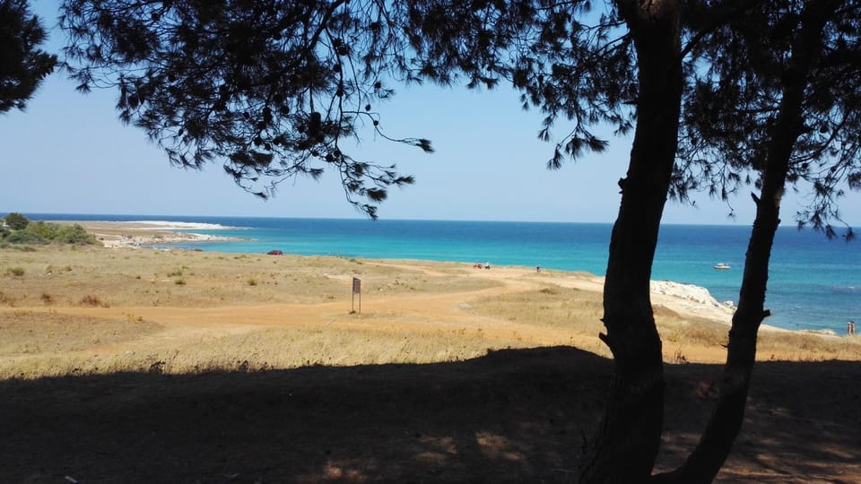 Nearby landmark, Beach