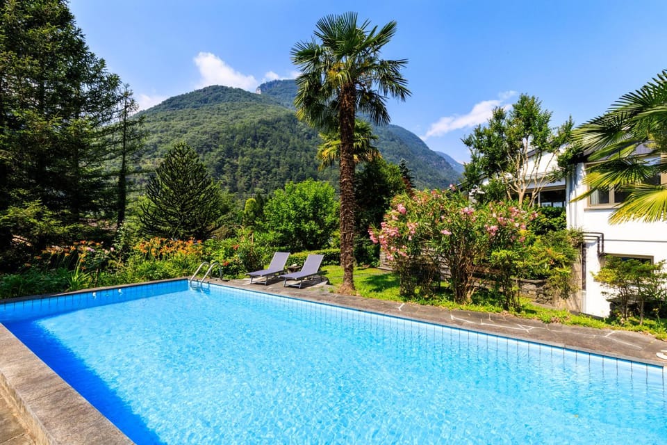Day, Summer, Garden, Seating area, Swimming pool