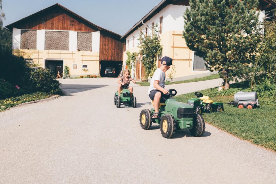 Essleggerhof Farm Stay in Carinthia, Austria