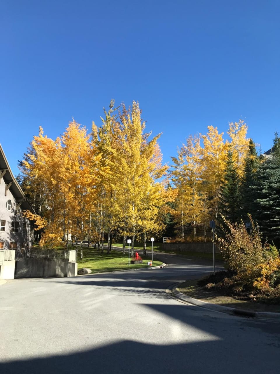 The Best Top Floor Ski-in/Ski-out at the Aspens Apartment in Whistler