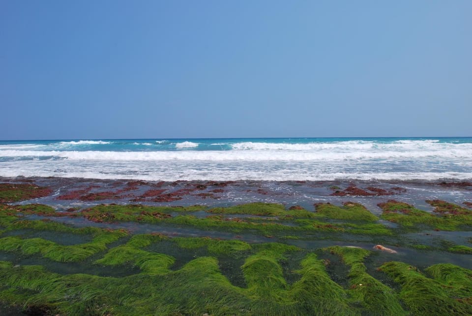 Natural landscape, Beach, Sea view