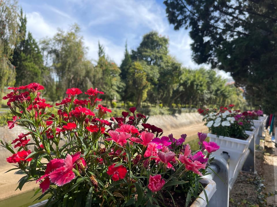 CaLi Nguyen Vacation rental in Dalat