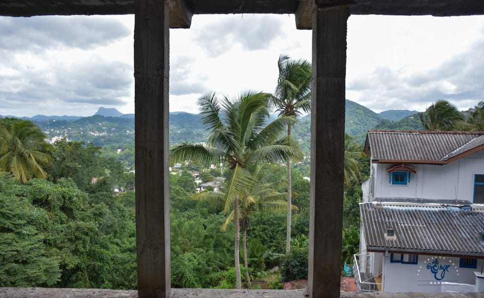 View (from property/room)