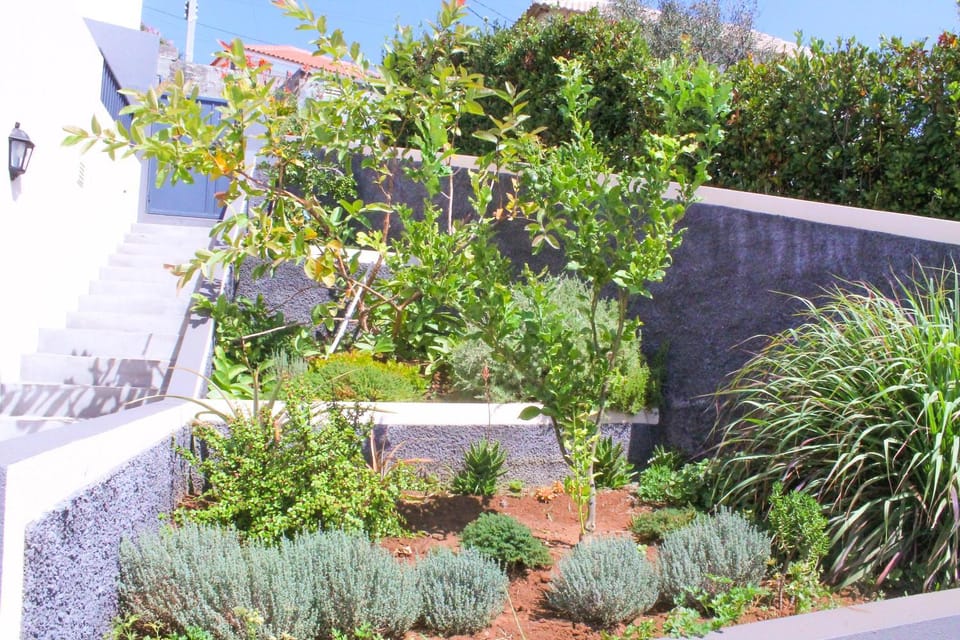 Garden, Garden view