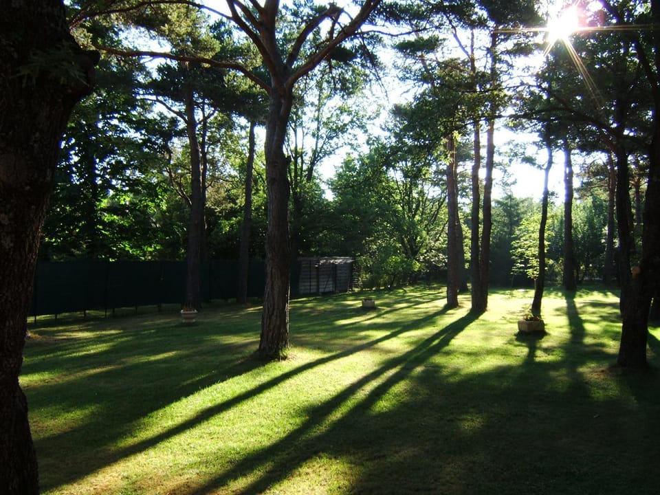 Spring, Natural landscape, Garden