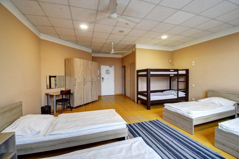 Bed, Photo of the whole room, Bedroom, bunk bed, wardrobe
