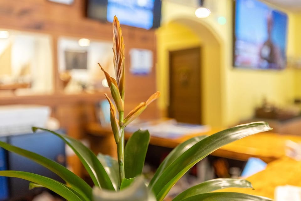 Lobby or reception, Decorative detail
