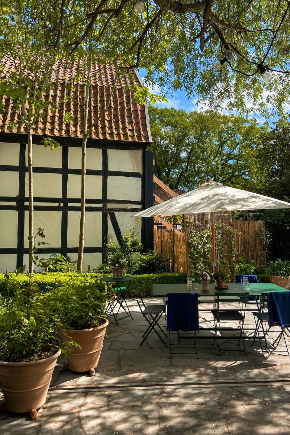 Garden view