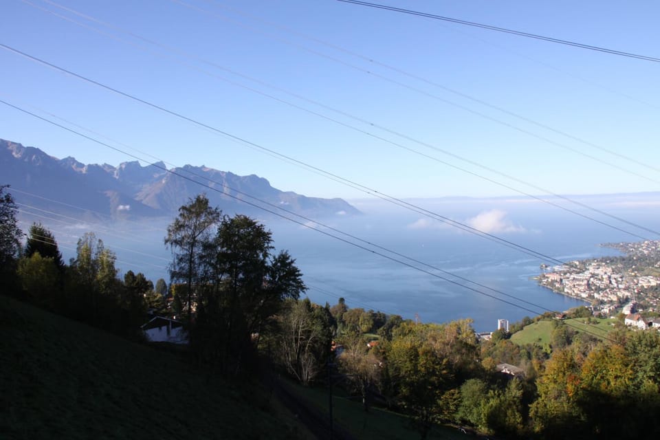 Lake view