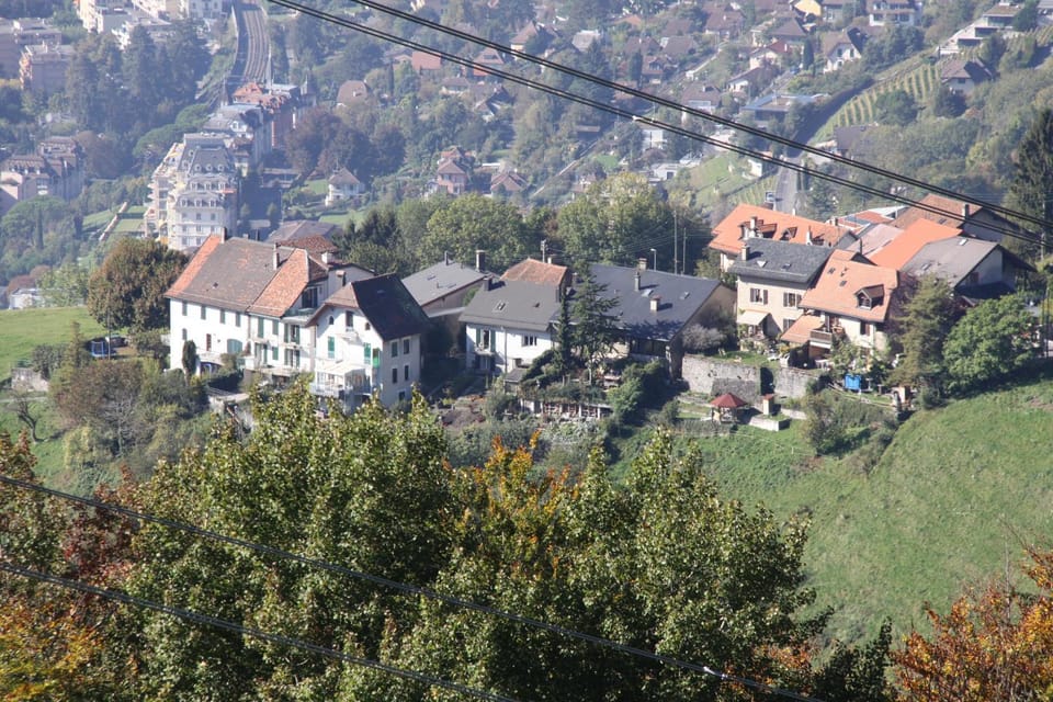 View (from property/room)