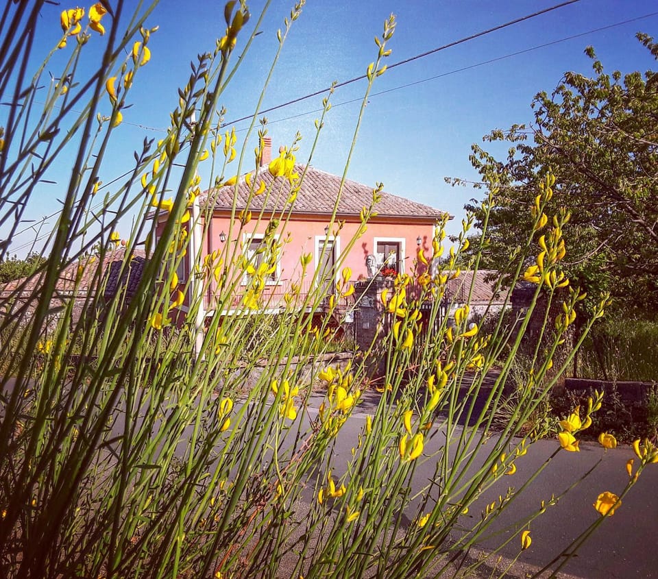 Property building, Facade/entrance, Spring, Activities, Other