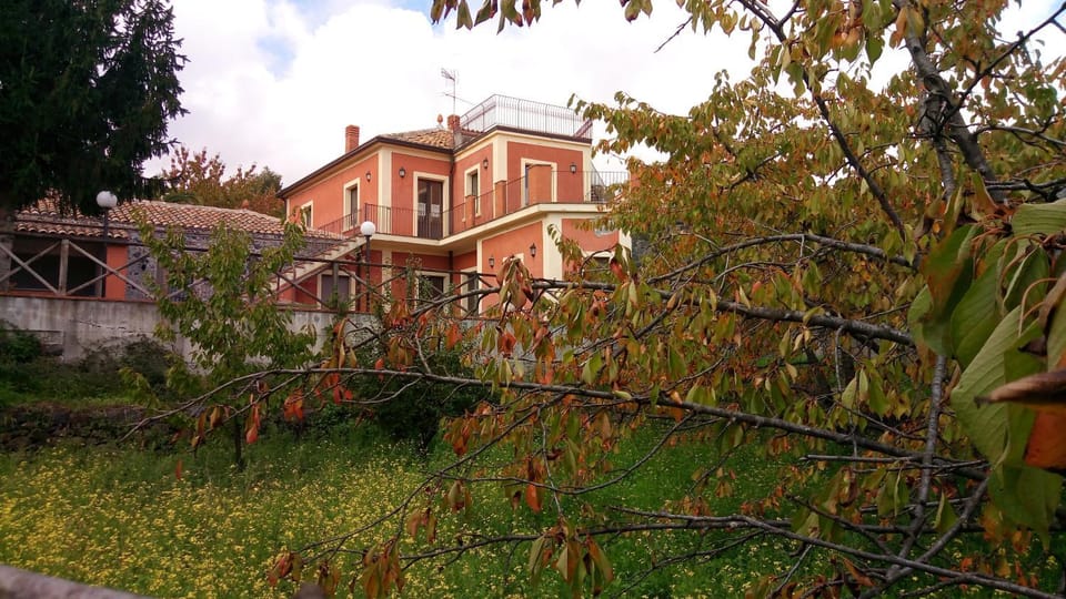 Facade/entrance, Garden view