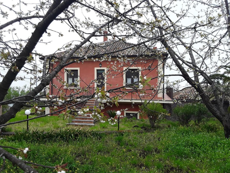 Facade/entrance, Spring, Balcony/Terrace, Garden view