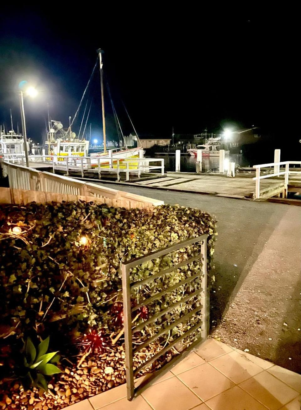 The Waterfront Apartment Apartment in Port Fairy